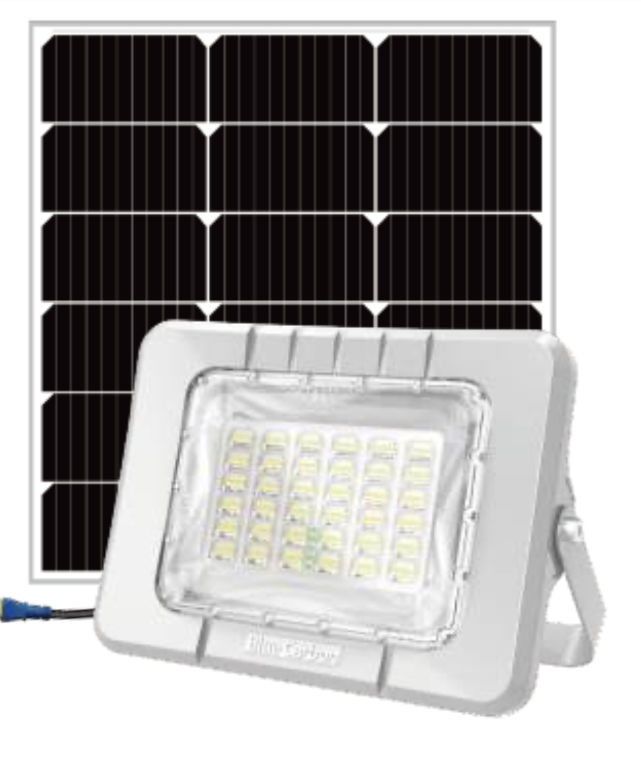 WR 20W-70W Flood Light